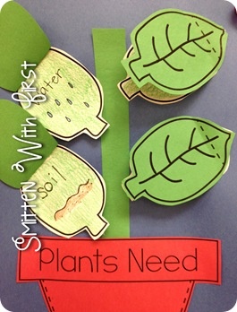 Plants - Ms. Edwards Kindergarten Science Resource Guide